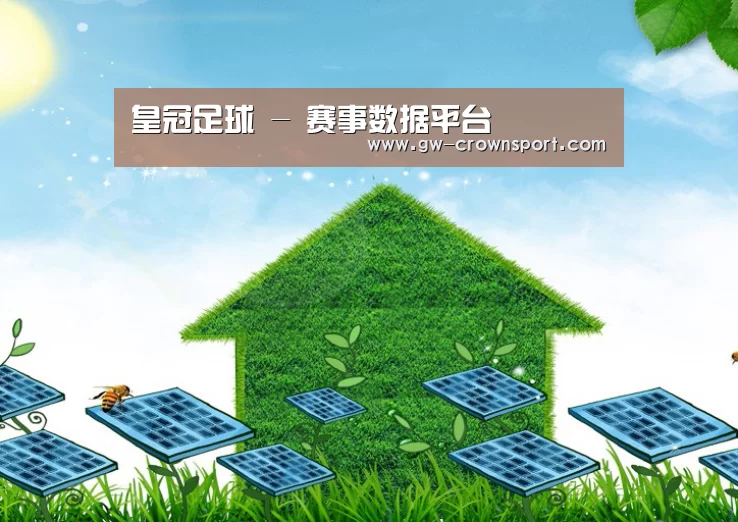 皇冠体育公司