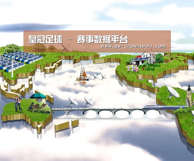 案例展示
