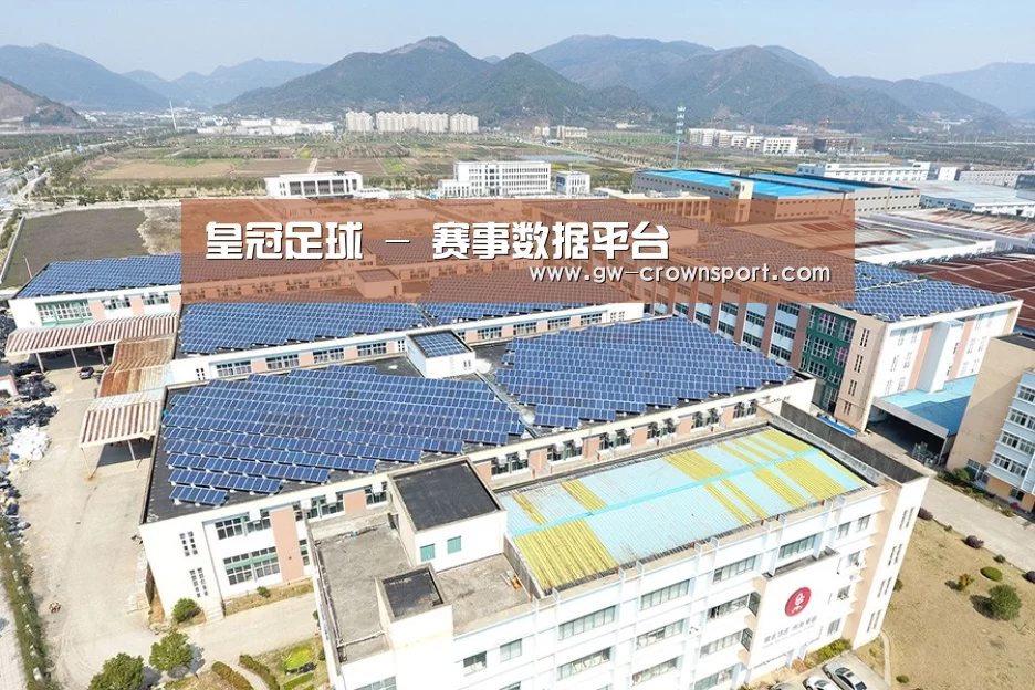 案例展示四