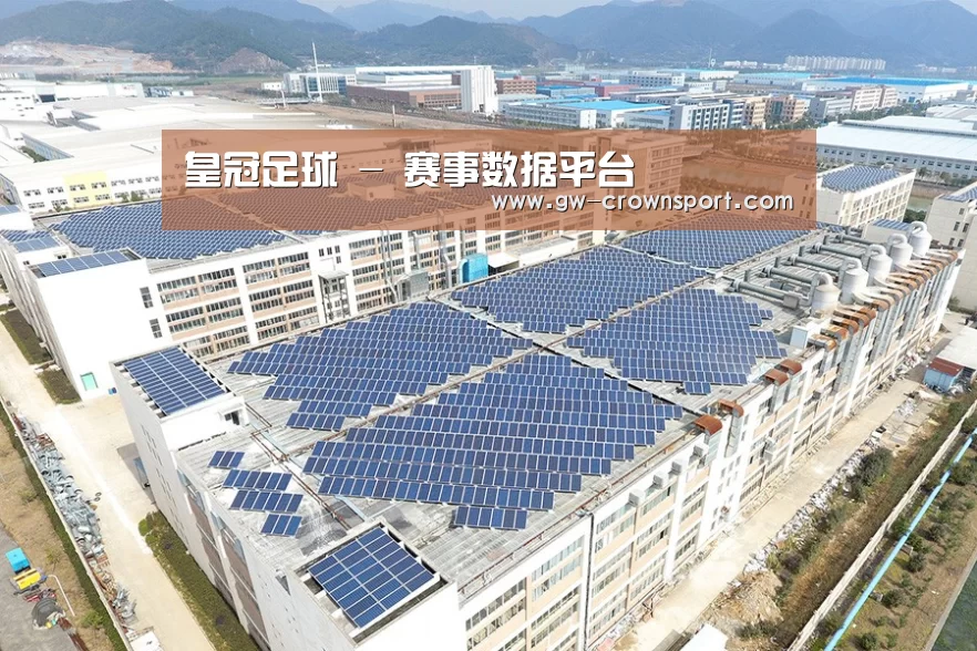 案例展示二