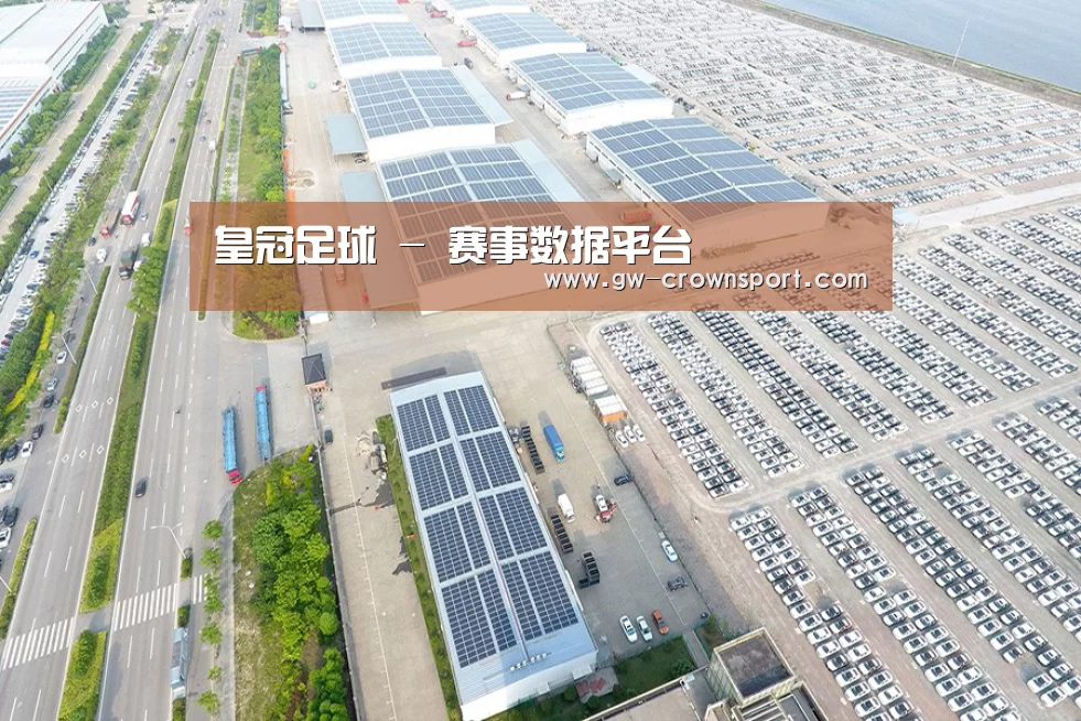 案例展示一