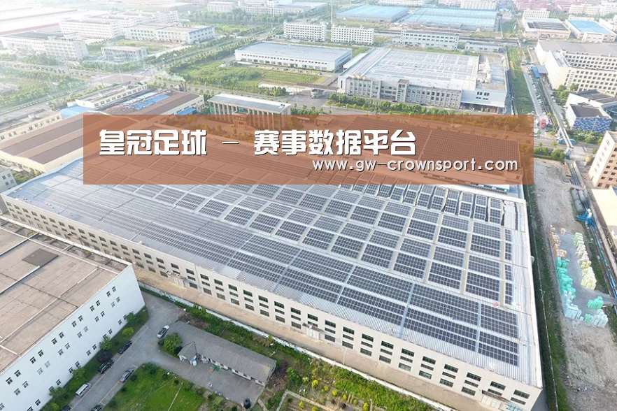 案例展示三