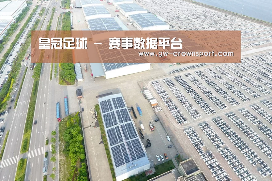 案例展示二