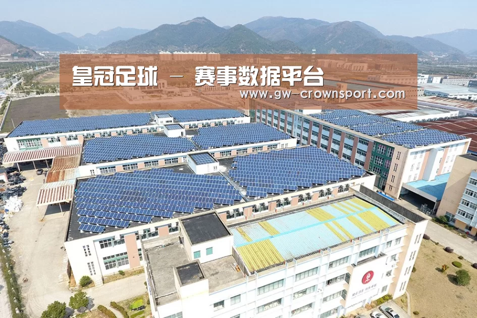 案例展示三