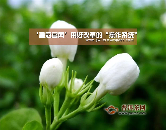 皇冠官网