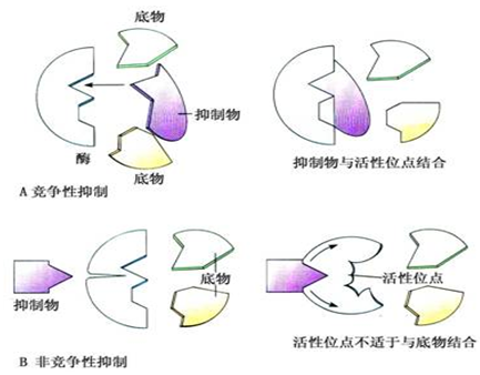 皇冠官网-“饥饿24小时”并不是一场“饥饿游戏”(图2) 皇冠体育
