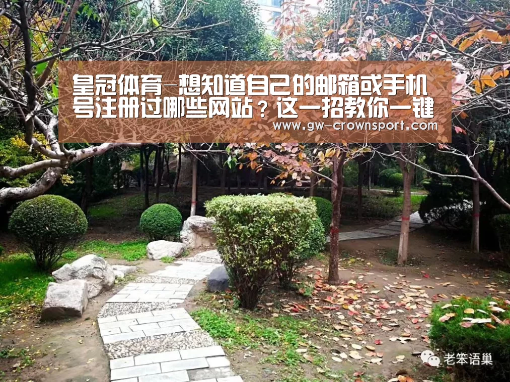 皇冠体育下载