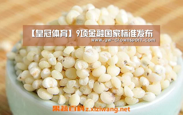【皇冠体育】9项金融国家标准发布(图3) 皇冠体育下载
