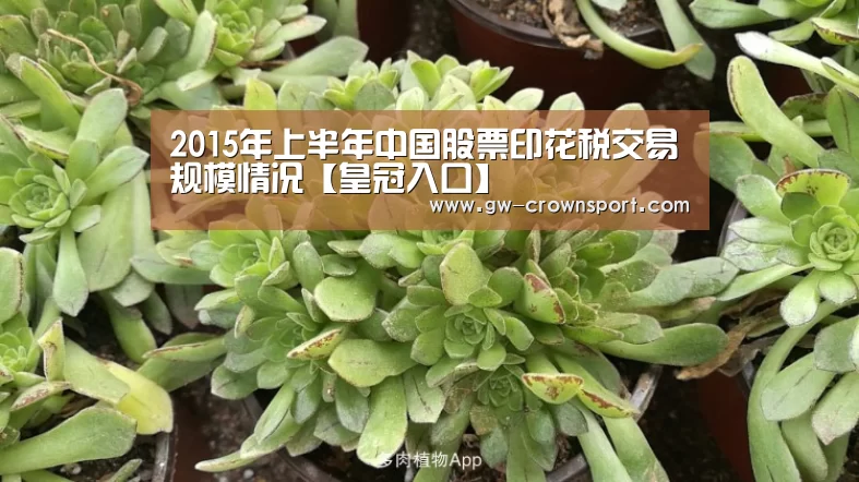 皇冠官网