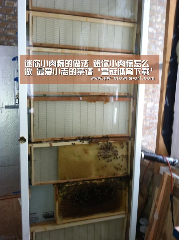 皇冠入口