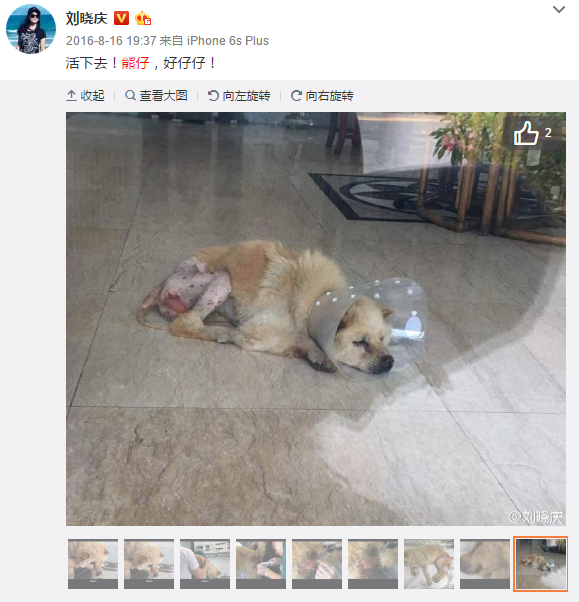 “皇冠官网”泪中带甜的那一声“妈”(图3) 皇冠体育